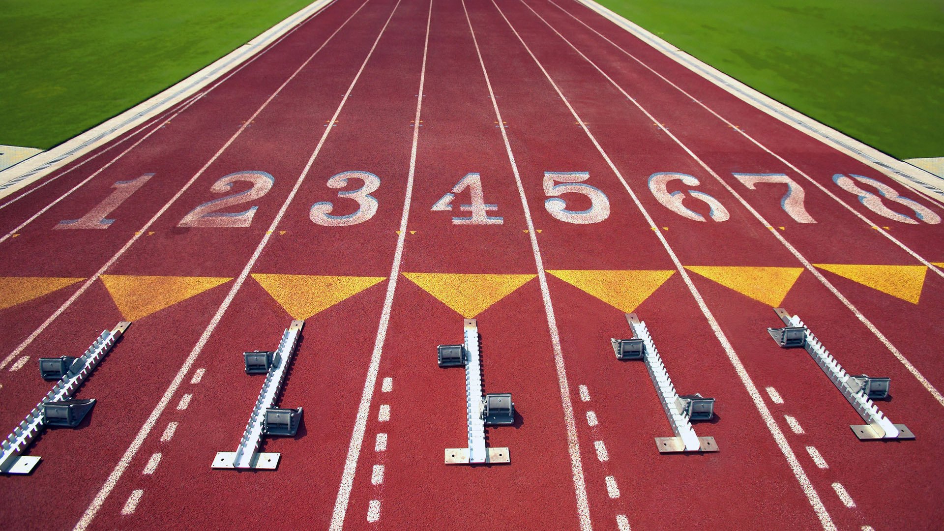 世界登山青年导师生态修复项目第四阶段结项报告公布，世界登山协会
